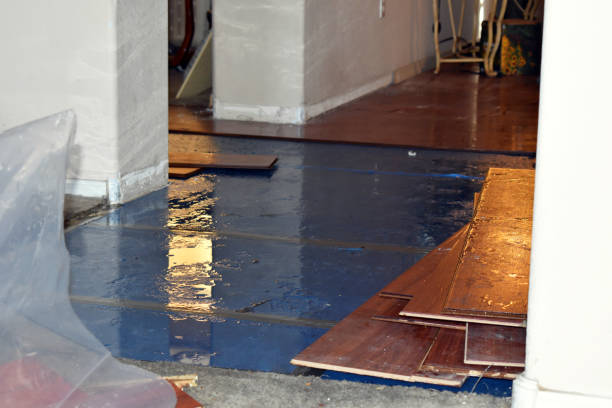 Professional Basement Water Removal technician working in Columbia, MO